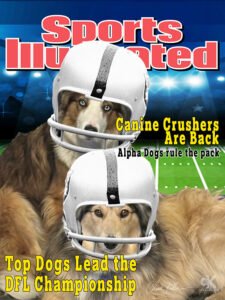 Football-Dogs-Web