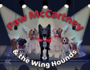 Paw-Mc-Winghounds-Web
